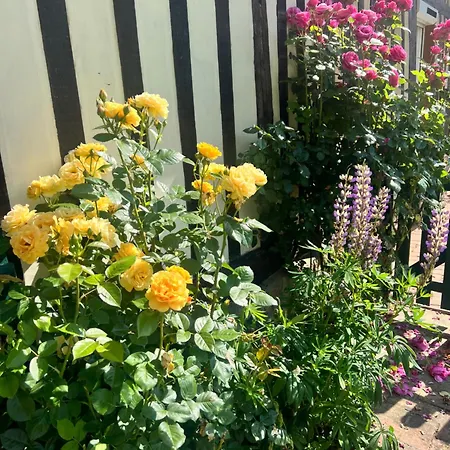 La Gruchette * Gruchet-Saint-Siméon