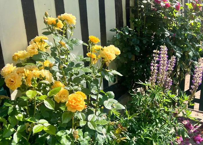 La Gruchette * Gruchet-Saint-Siméon